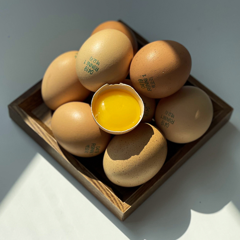 자연방사 유정란&구운 유정란