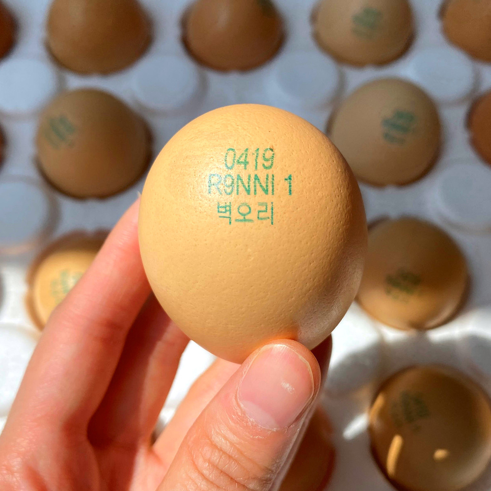 자연방사 유정란&구운 유정란