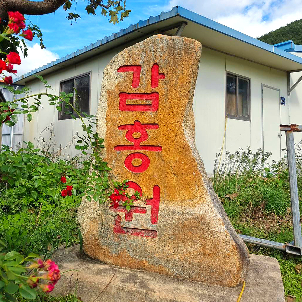 경북 포항 국내육성품종 사과 감홍