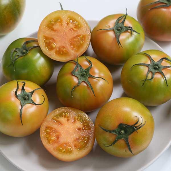 부산 대저 지역특화작물 토마토 짭짤이토마토