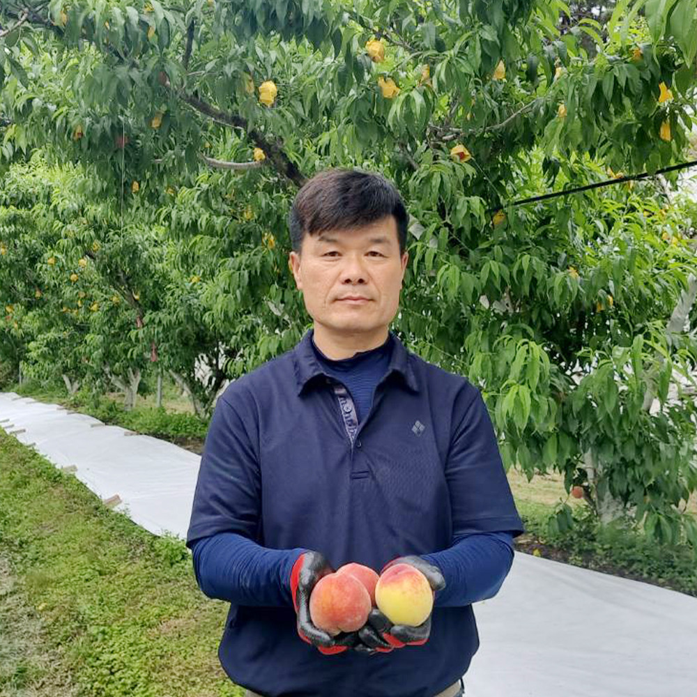 최홍선 생산자님의 당도선별 남원 복숭아