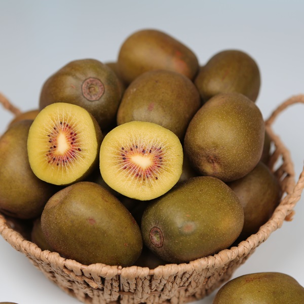 고당도 레드키위 홍양